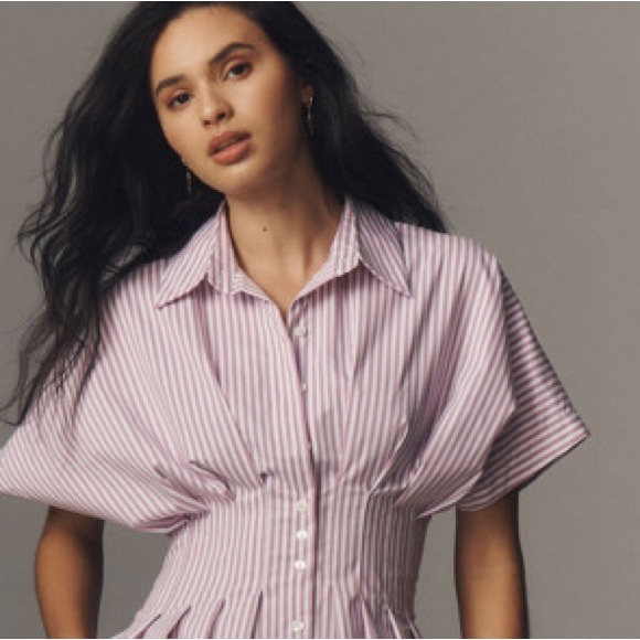 Anthropologie The Tobie Button-Front Pleated Shirt Dress - Picture 8 of 14